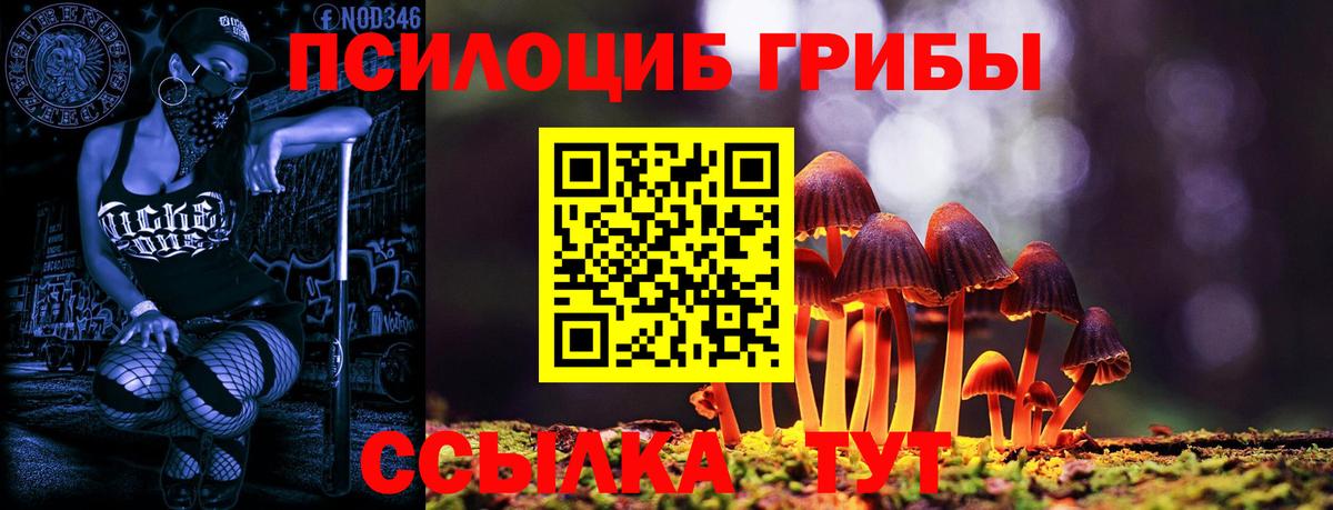Кстово  Галлюциногенные грибы Psilocybine cubensis  Вход с VPN 